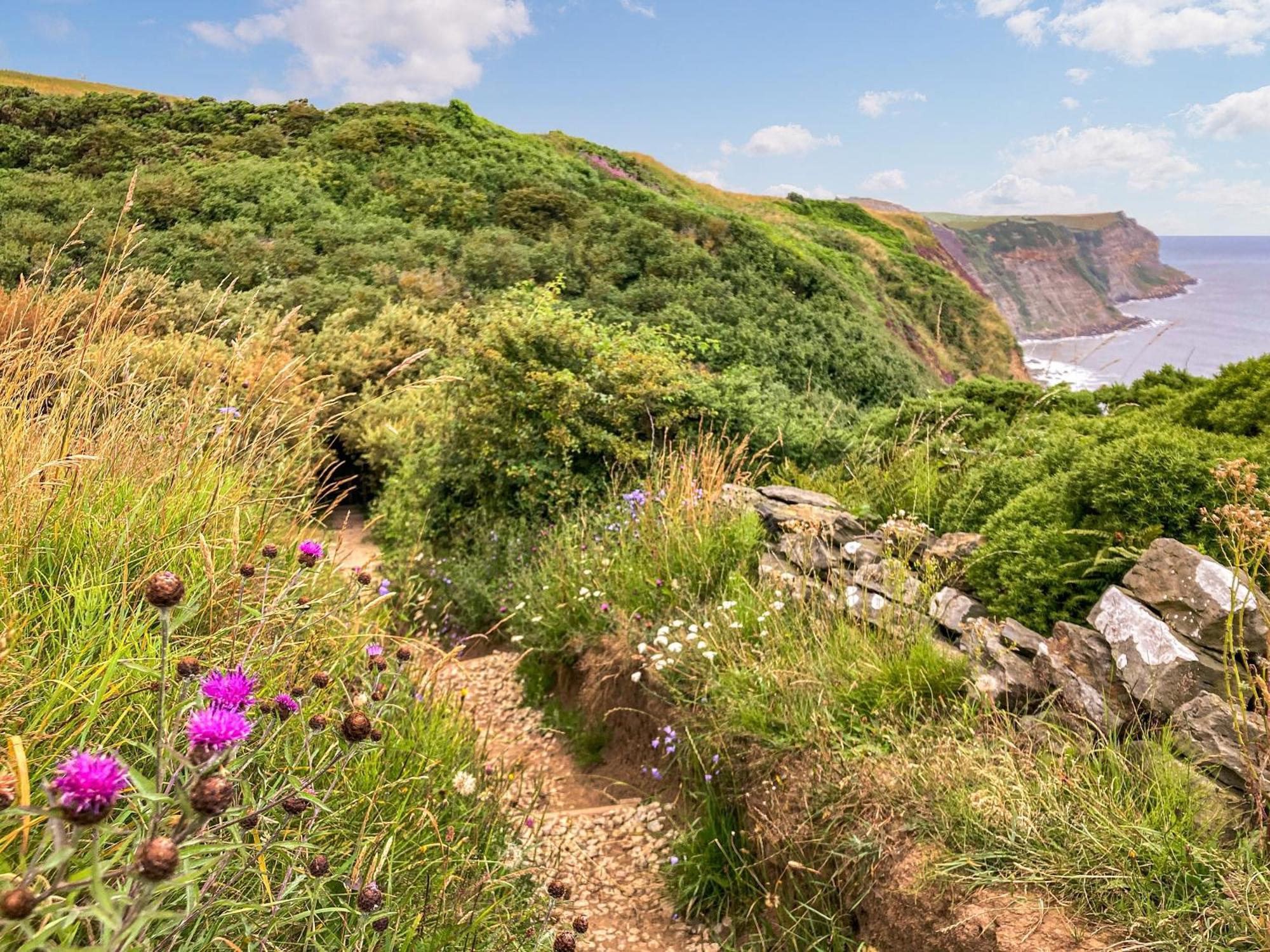 Rose Cottage Sandsend Exteriér fotografie